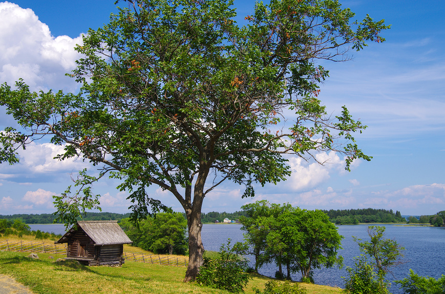 Кижи, Карелия, Россия. Амбар на берегу Онежского озера © Natalya Sidorova / Фотобанк Лори